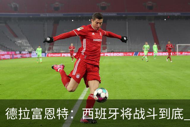 德拉富恩特：西班牙将战斗到底 巴西队仍然是诸强学习的榜样